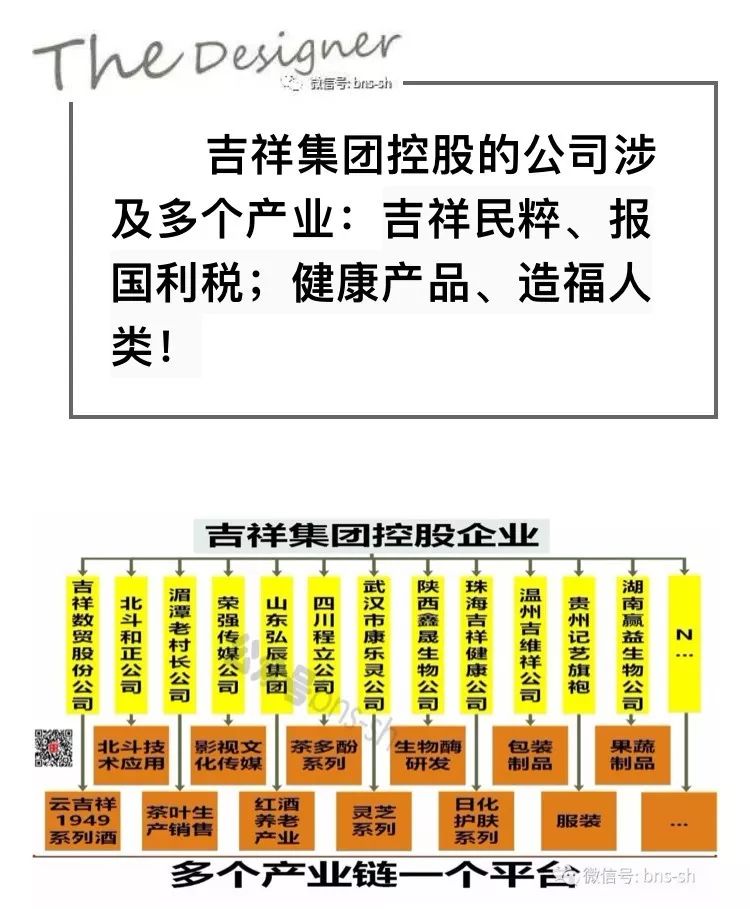 国嘉吉祥大健康最新消息全面解析