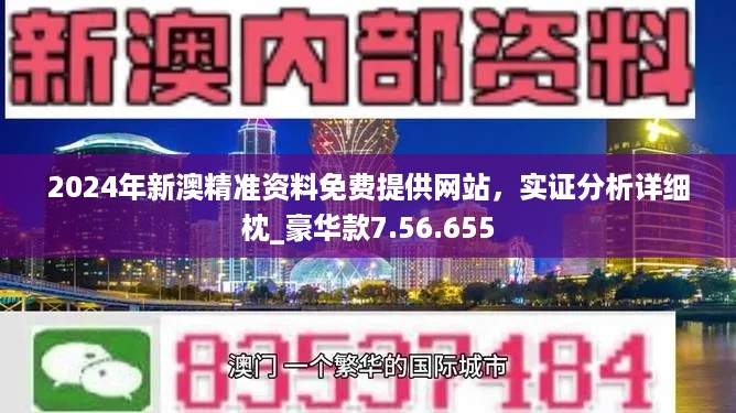 新澳2024年精准特马资料,时代说明评估_Windows56.411