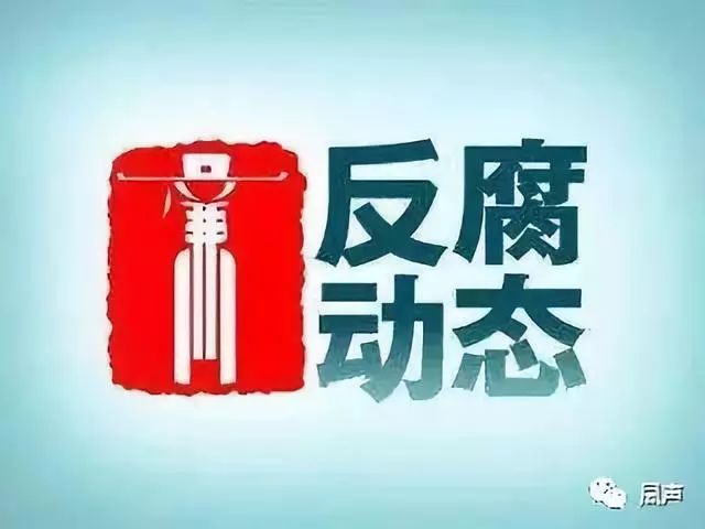 揭秘，持续反腐成效显著，最新动态揭示2017年6月反贪进展